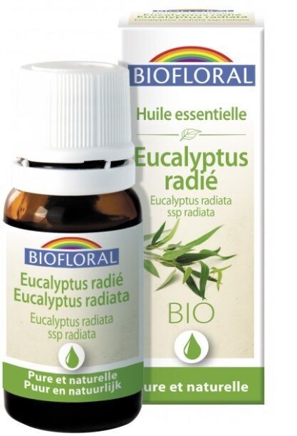 Huile essentielle eucalyptus radié