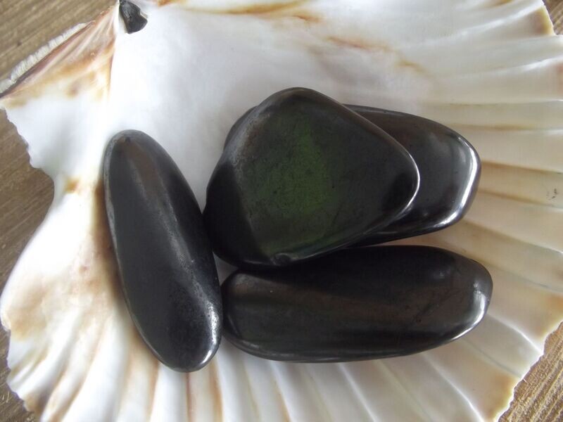 Galet de shungite