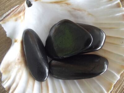 Galet de shungite
