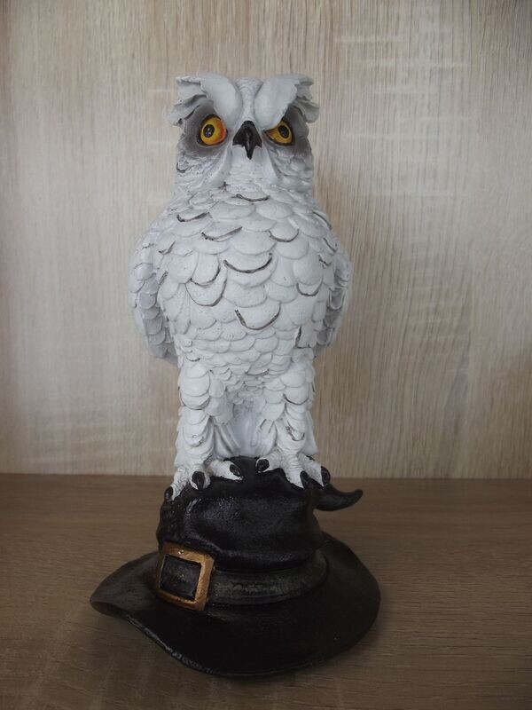 Le hibou de la sorcière
