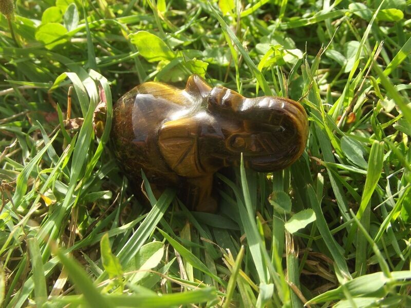 Eléphant en oeil de tigre