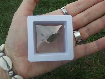 Moldavite en boîte
