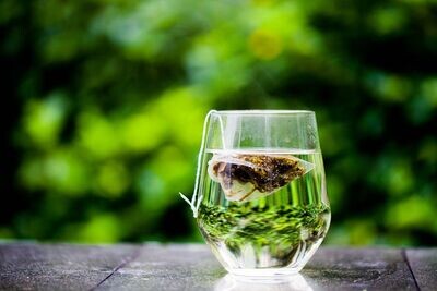 Infusions