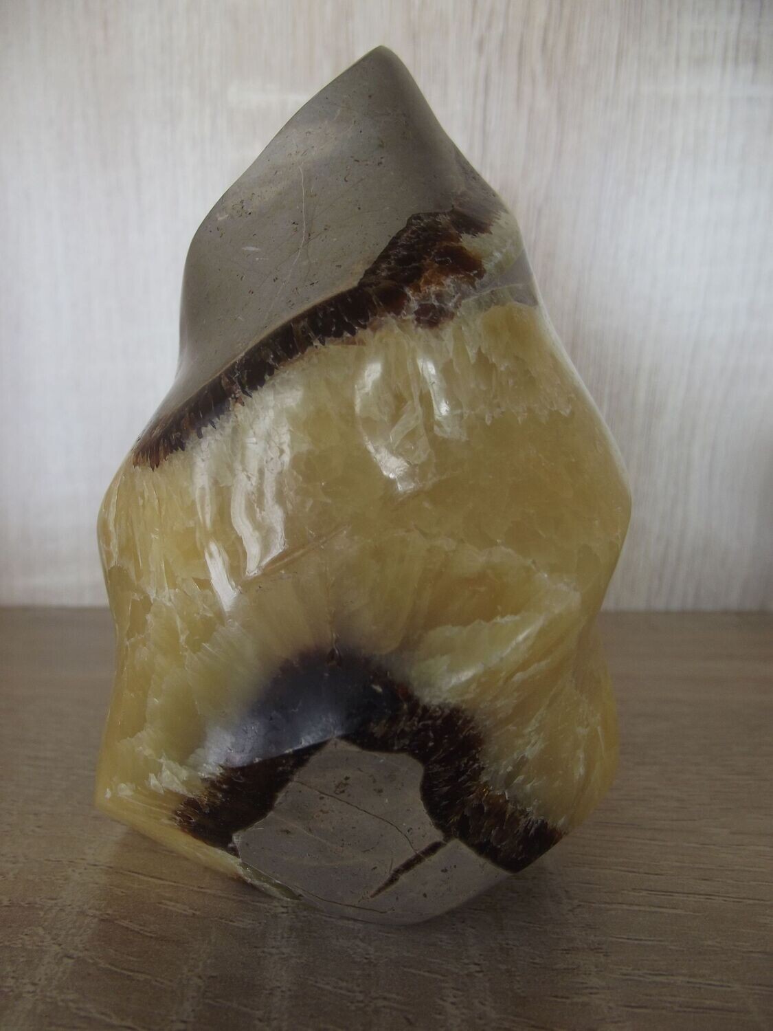 Flamme septaria commune