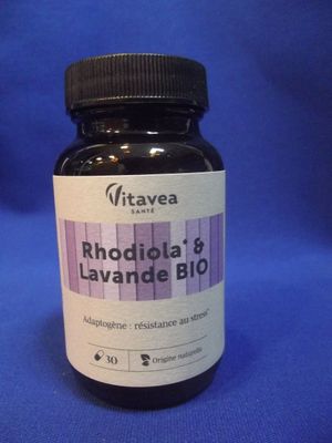 Rhodiola lavande