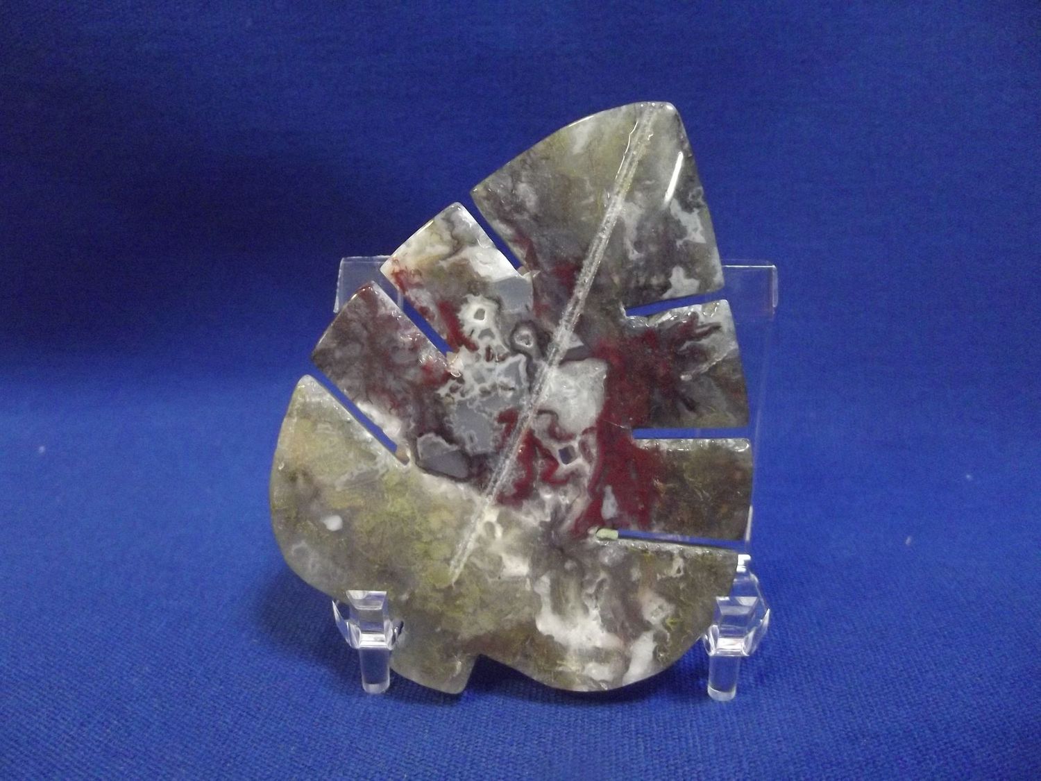 Feuille agate mousse
