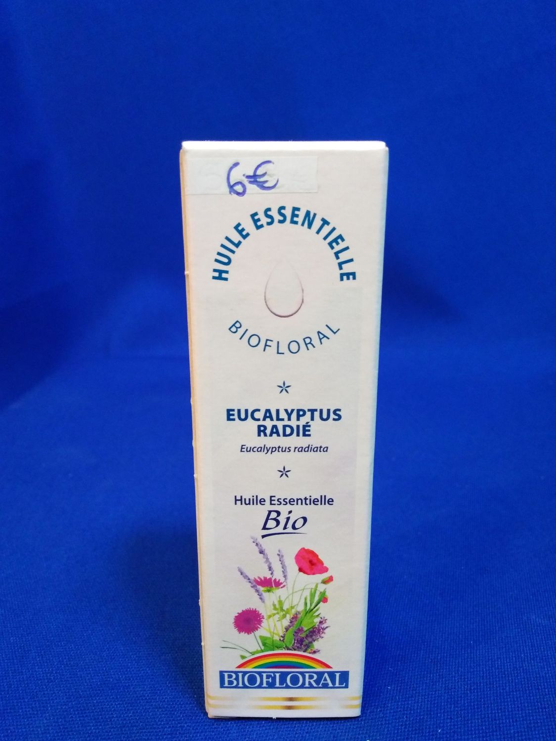 Huile essentielle eucalyptus radié