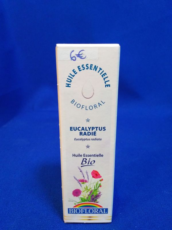 Huile essentielle eucalyptus radié