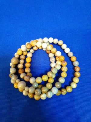 Mala corail fossile