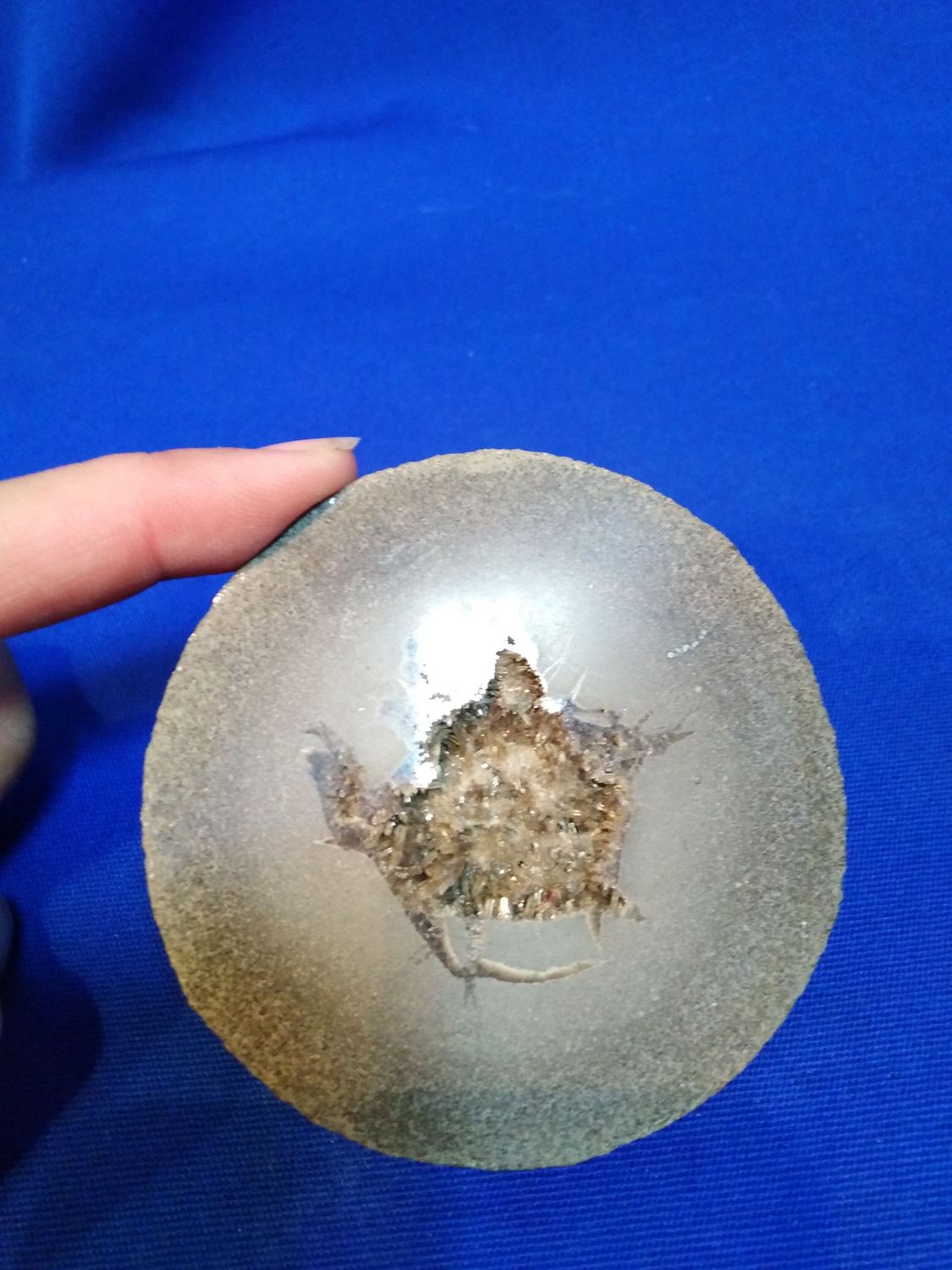 Demi nodule scié de septaria