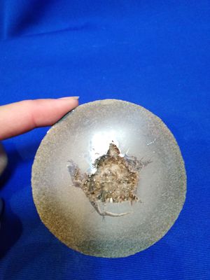 Demi nodule scié de septaria