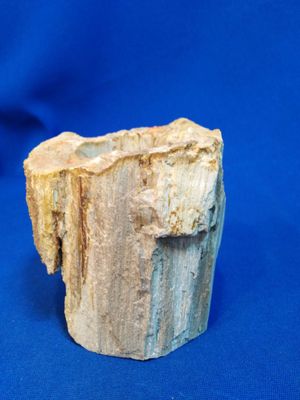 Bougeoir en bois fossile