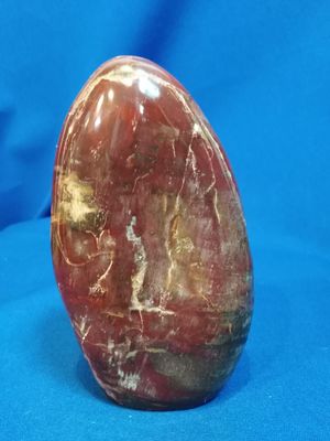 Bloc bois fossile