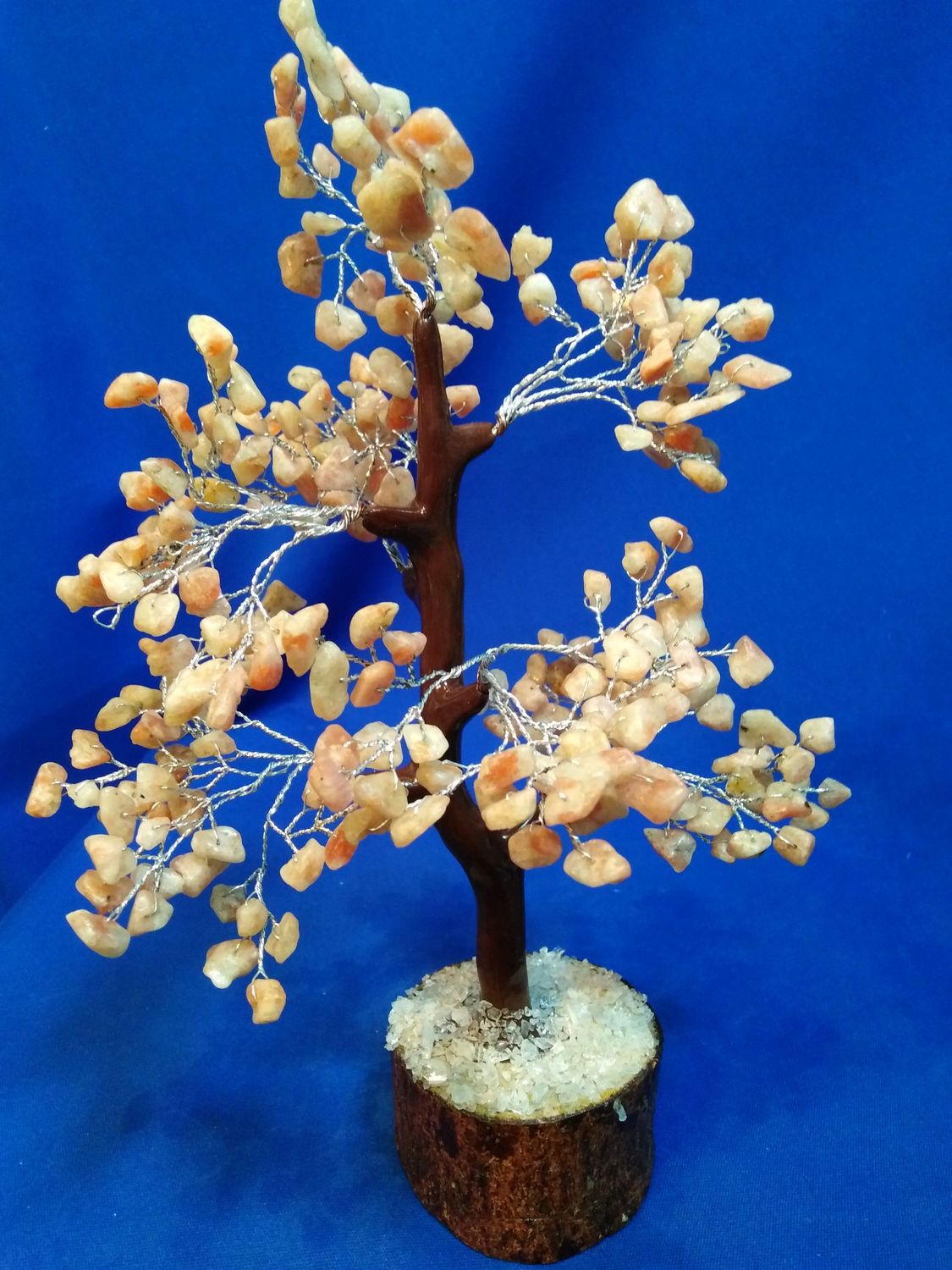 Arbre pierre de soleil