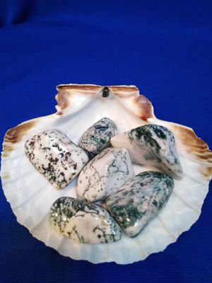 Agate arbre en pierre roulée