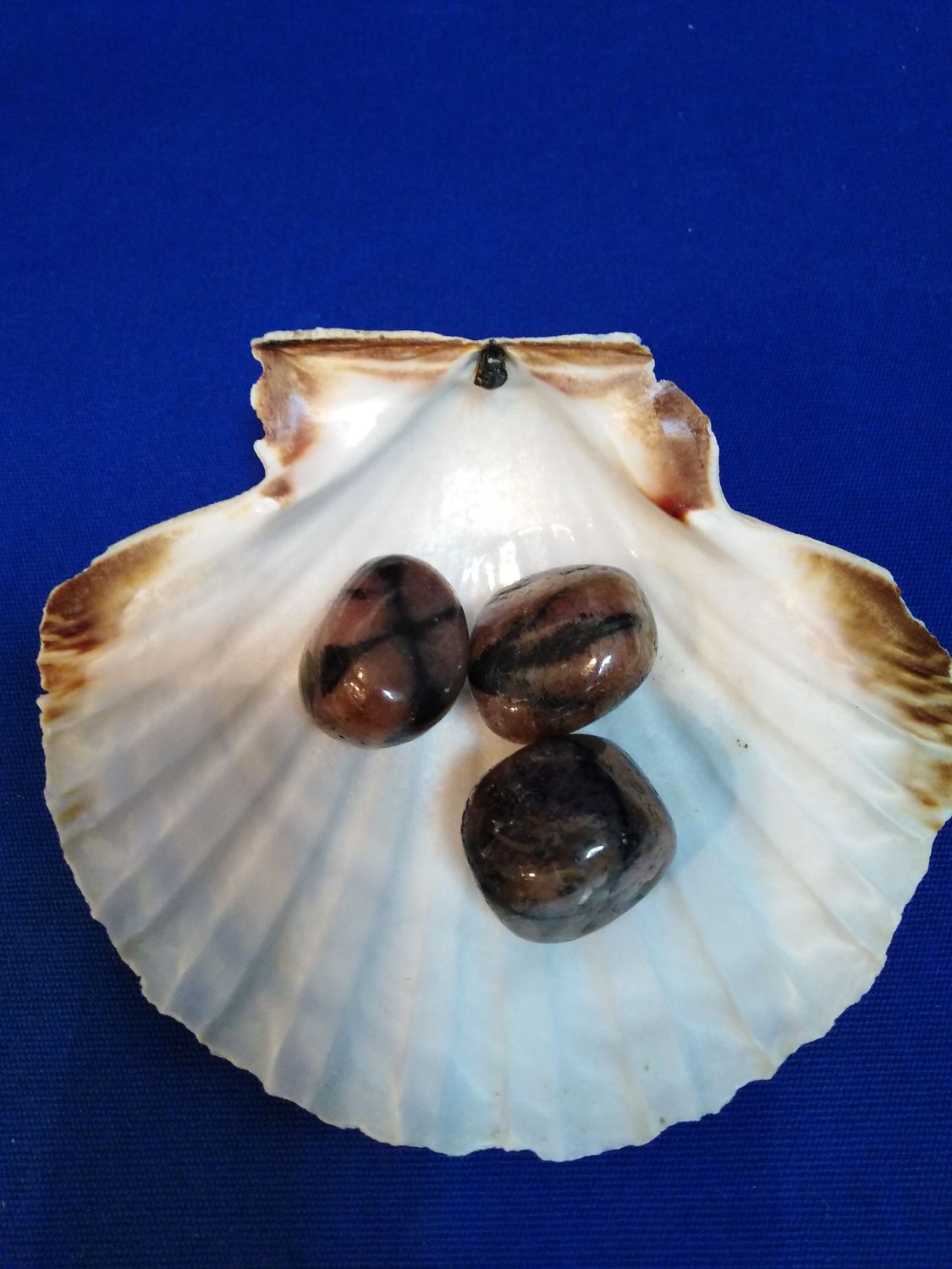 Chiastolite en pierre roulée
