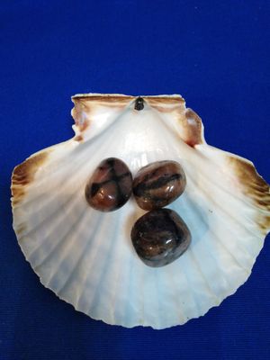 Chiastolite en pierre roulée