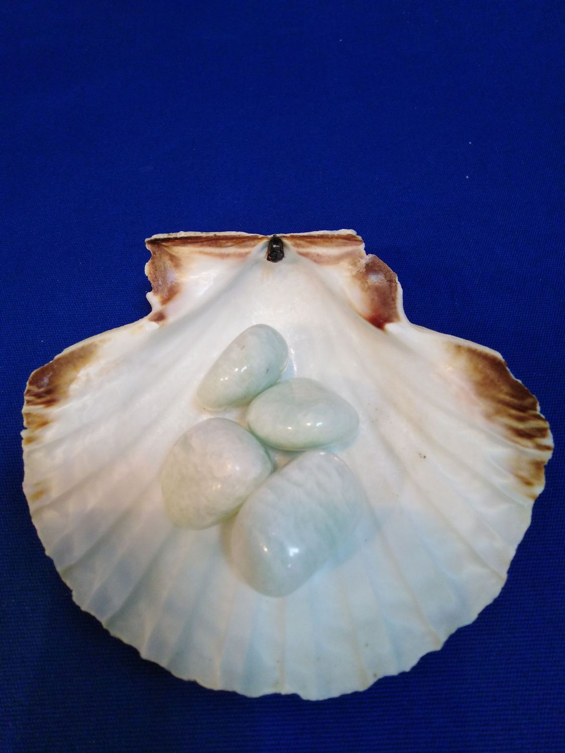Amazonite en pierre roulée