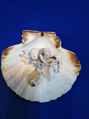 Agate dendritique en pierre roulée