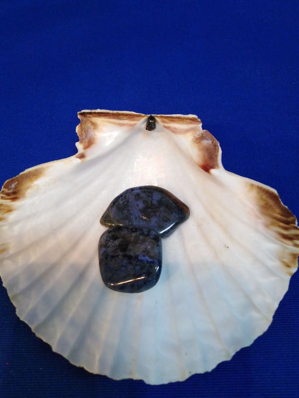 Dumortiérite en pierre roulée