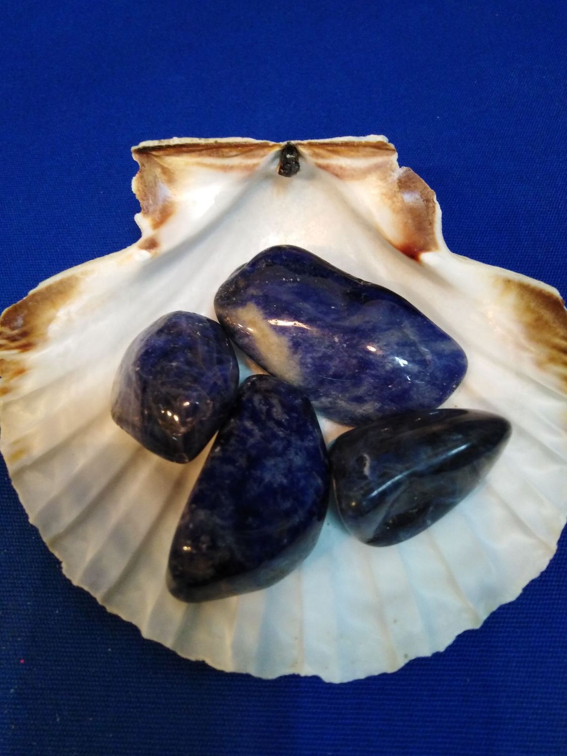 Sodalite en pierre roulée