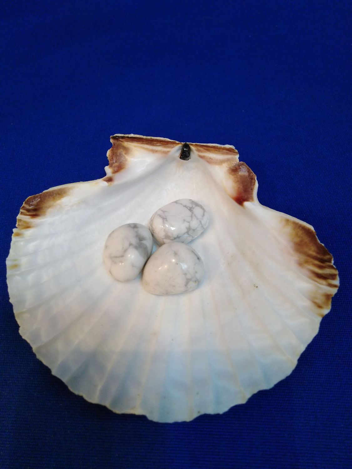 Howlite en pierre roulée