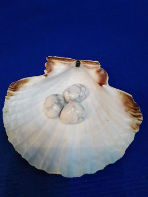 Howlite en pierre roulée