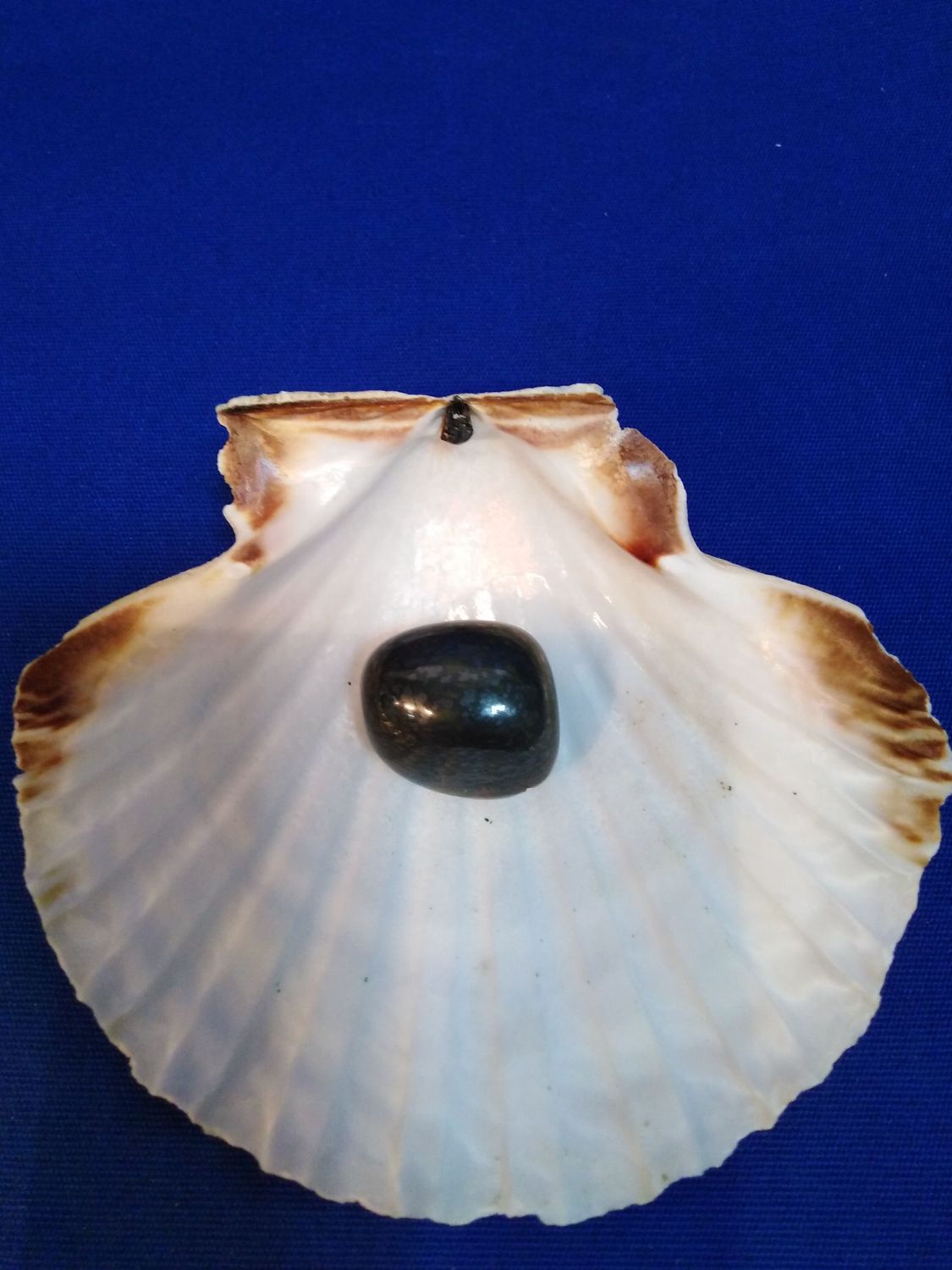 Oeil de fer en pierre roulée