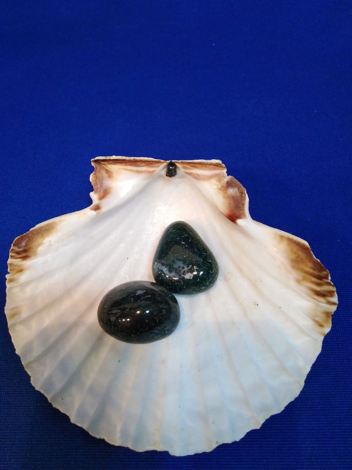 Agate mousse en pierre roulée