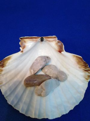 Agate crazy lace en pierre roulée