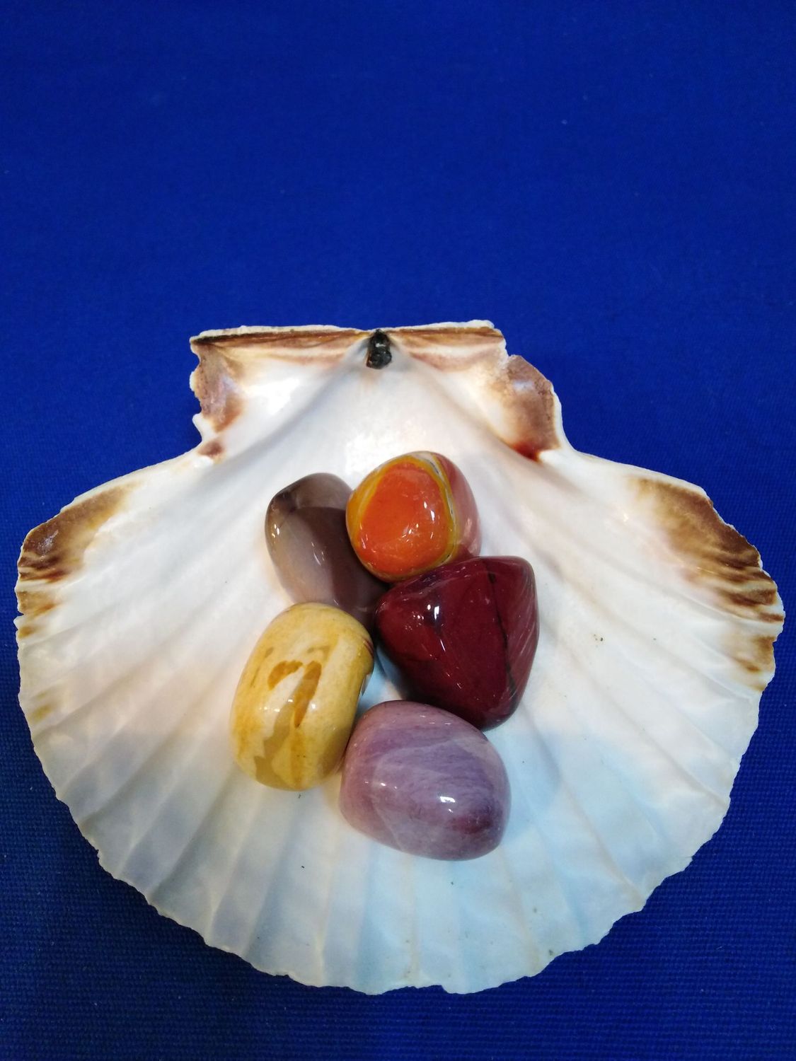 Jaspe mokaite en pierre roulée (petite taille)