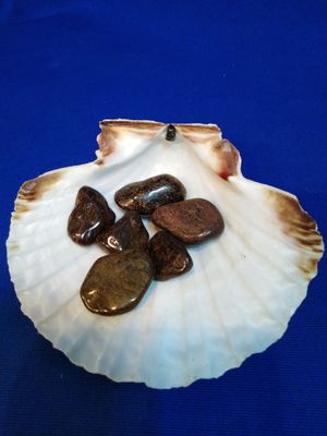 Bronzite en pierre roulée