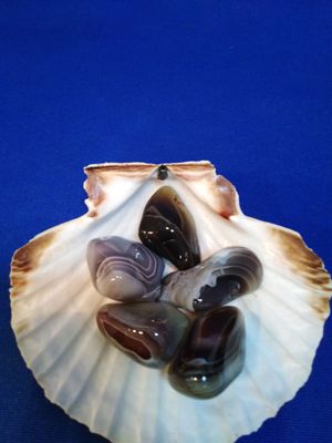 Agate du Botswana en pierre roulée