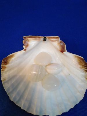 Agate blanche en pierre roulée (petite taille)