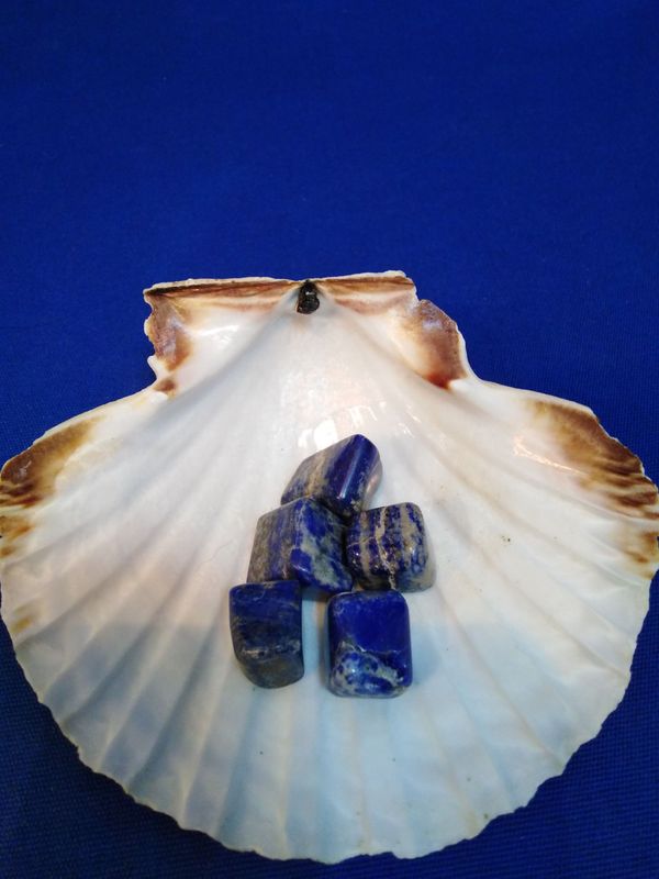 Lapis lazuli en pierre roulée (petite taille)