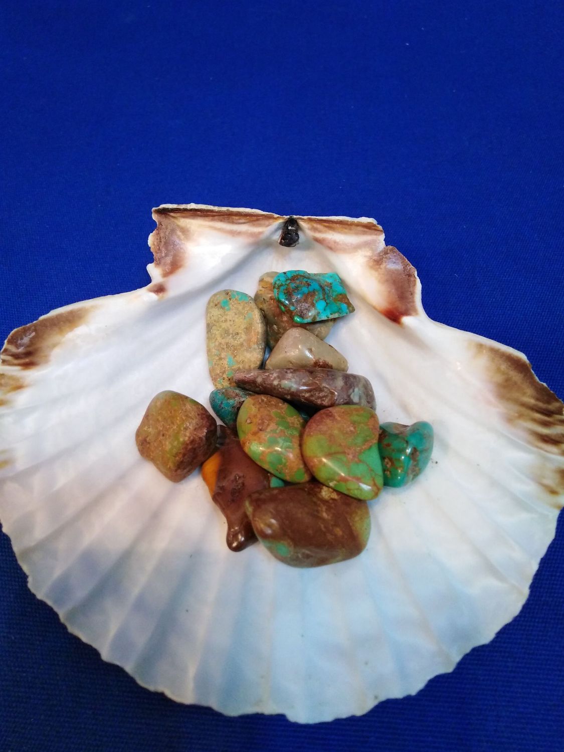 Turquoise en pierre roulée