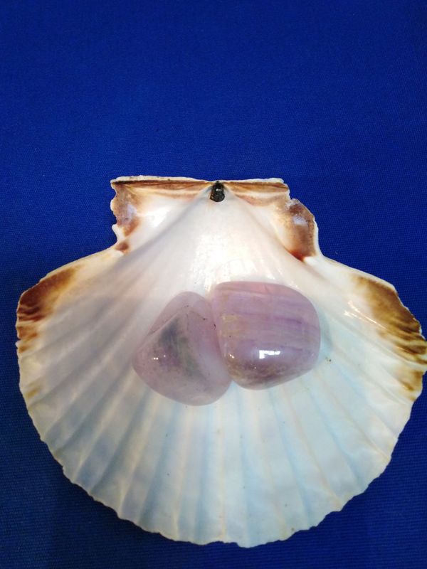 Pierre roulée de fluorite (grande taille)