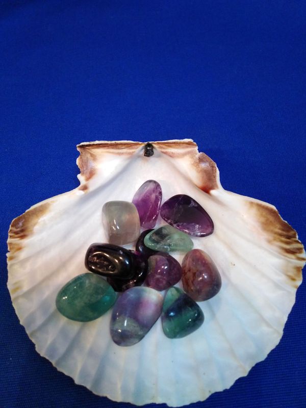 Pierre roulée fluorite (petite taille)