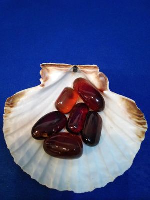 Ambre d'Indonésie en pierre roulée