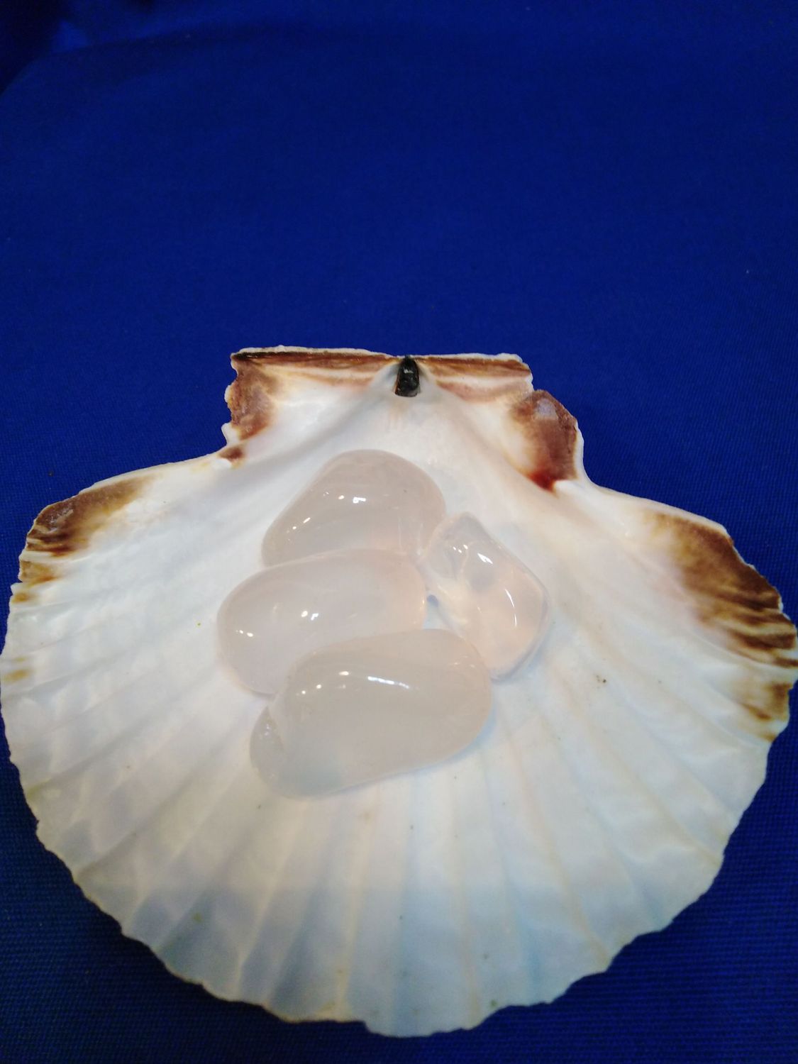 Quartz girasol en pierre roulée (grande taille)