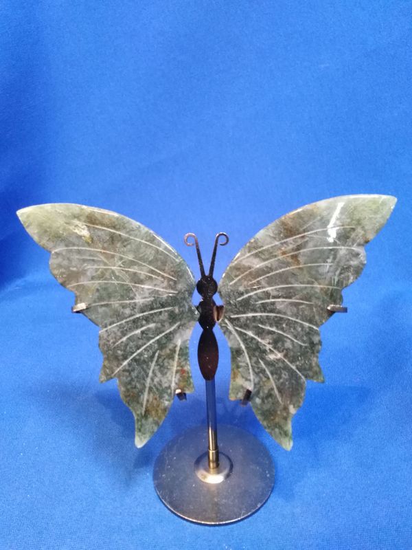 Papillon agate mousse