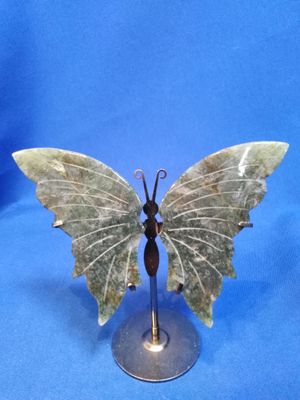 Papillon agate mousse