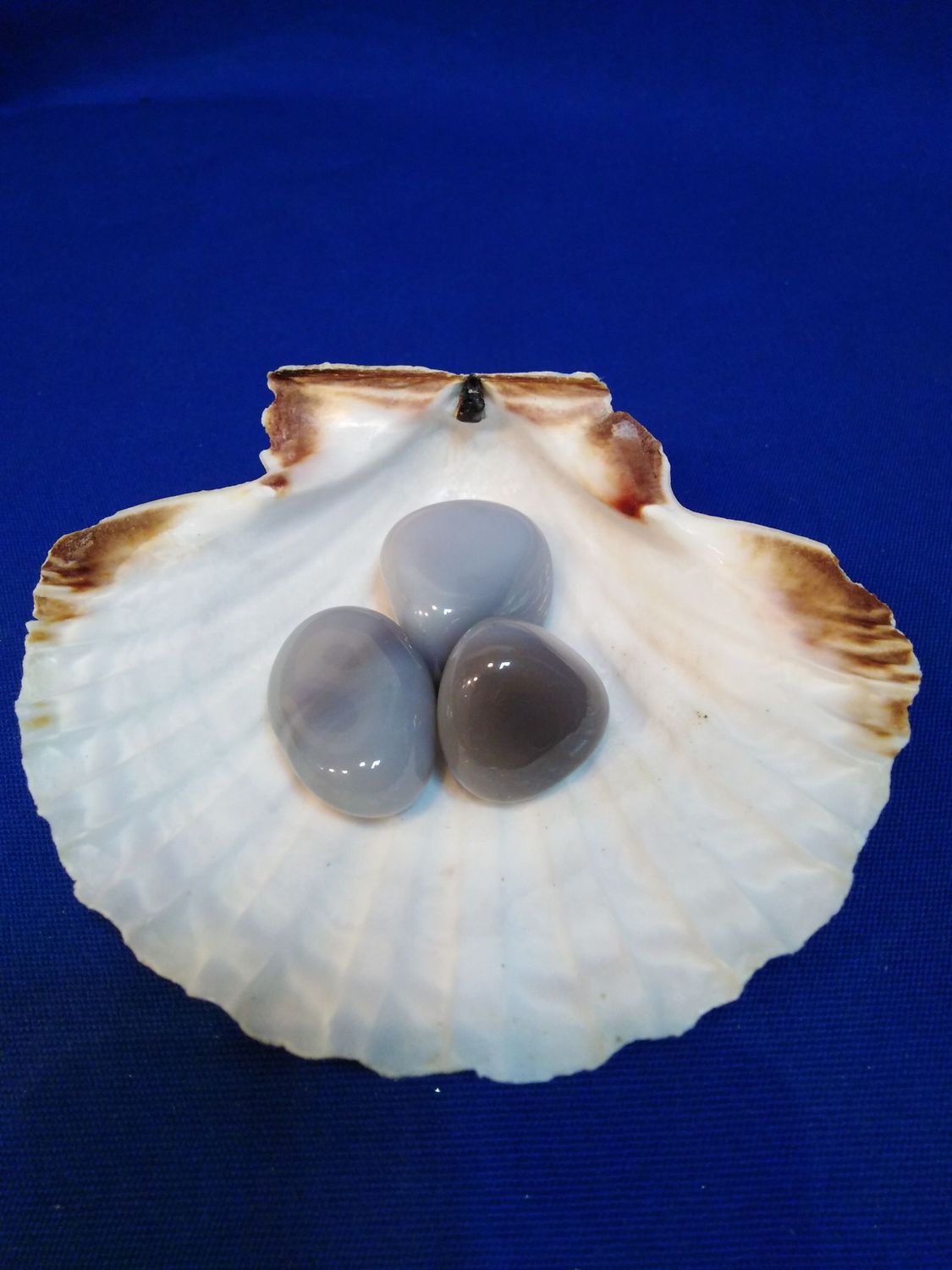 Agate grise en pierre roulée