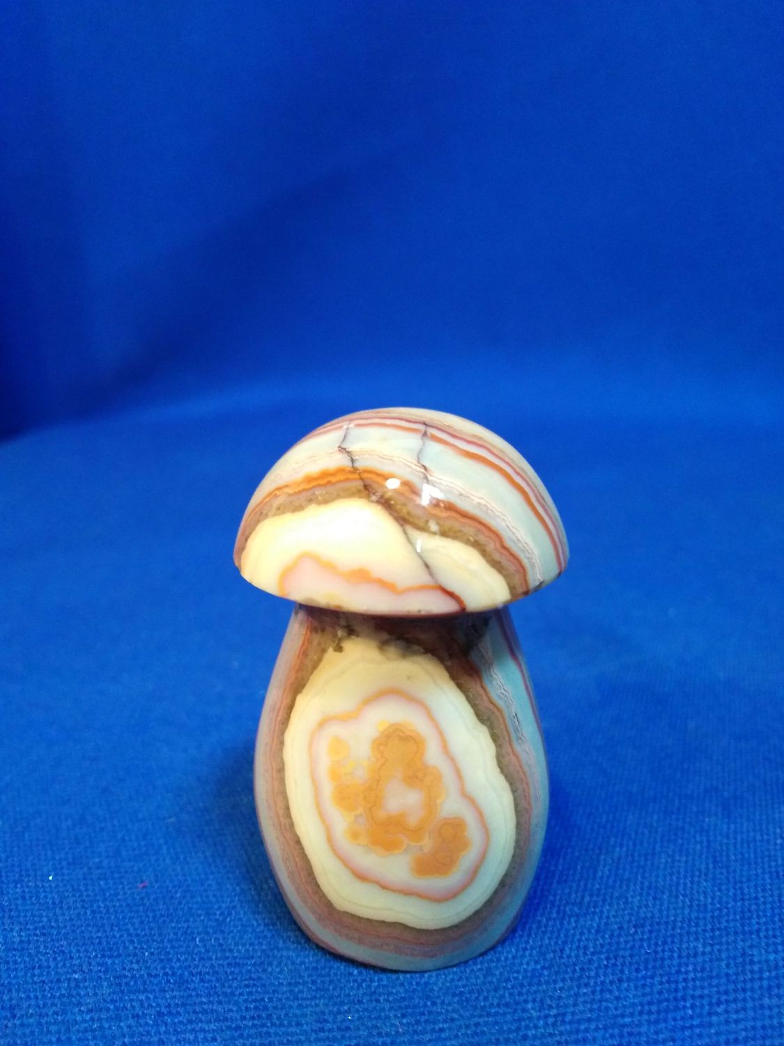 Champignon agate crazy lace
