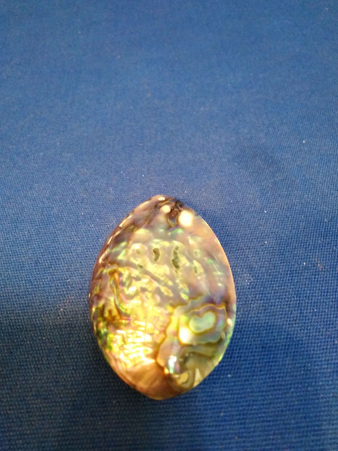 Nacre abalone