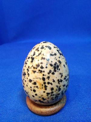 Oeuf de jaspe dalmatien