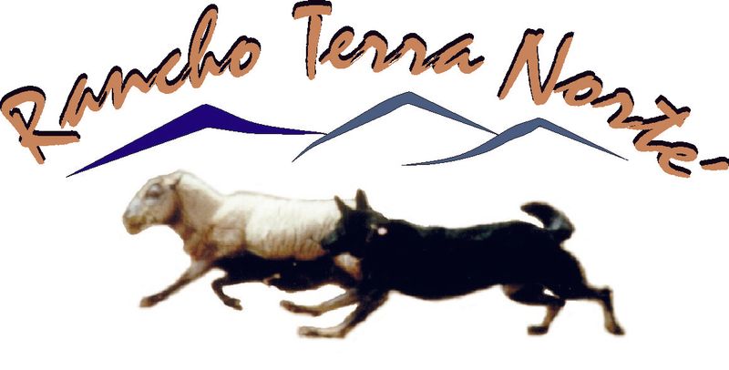 Single Dog Entry - AHBA Large Flock Ranch Trial Friday and HRD Ranch Trial Friday, April 24, 2026 and AHBA BDT, HTAD &amp; HTD Trial &amp; JBD/JHD/HCT Tests Saturday, April 25, 2026.