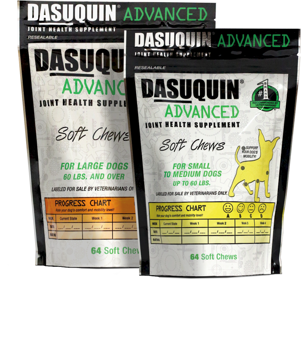 Dasuquin Handout.pdf Tienda