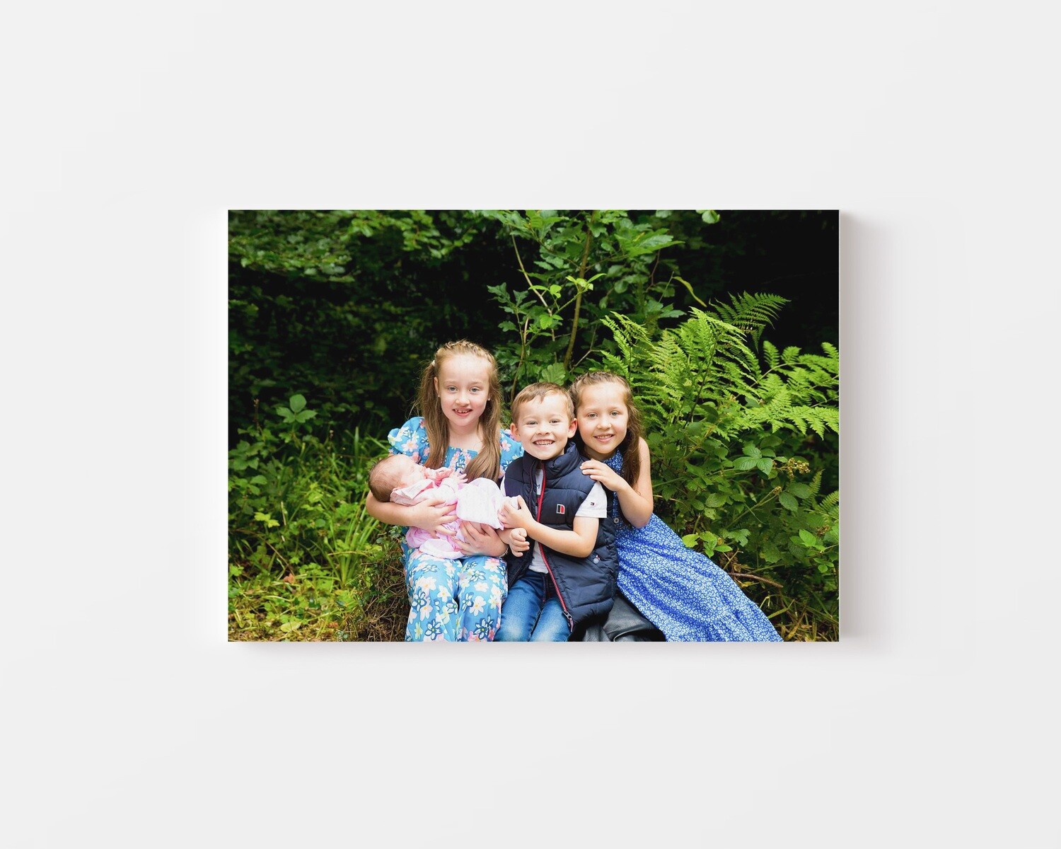 Photo Canvas 24&quot; x 16&quot; - Landscape