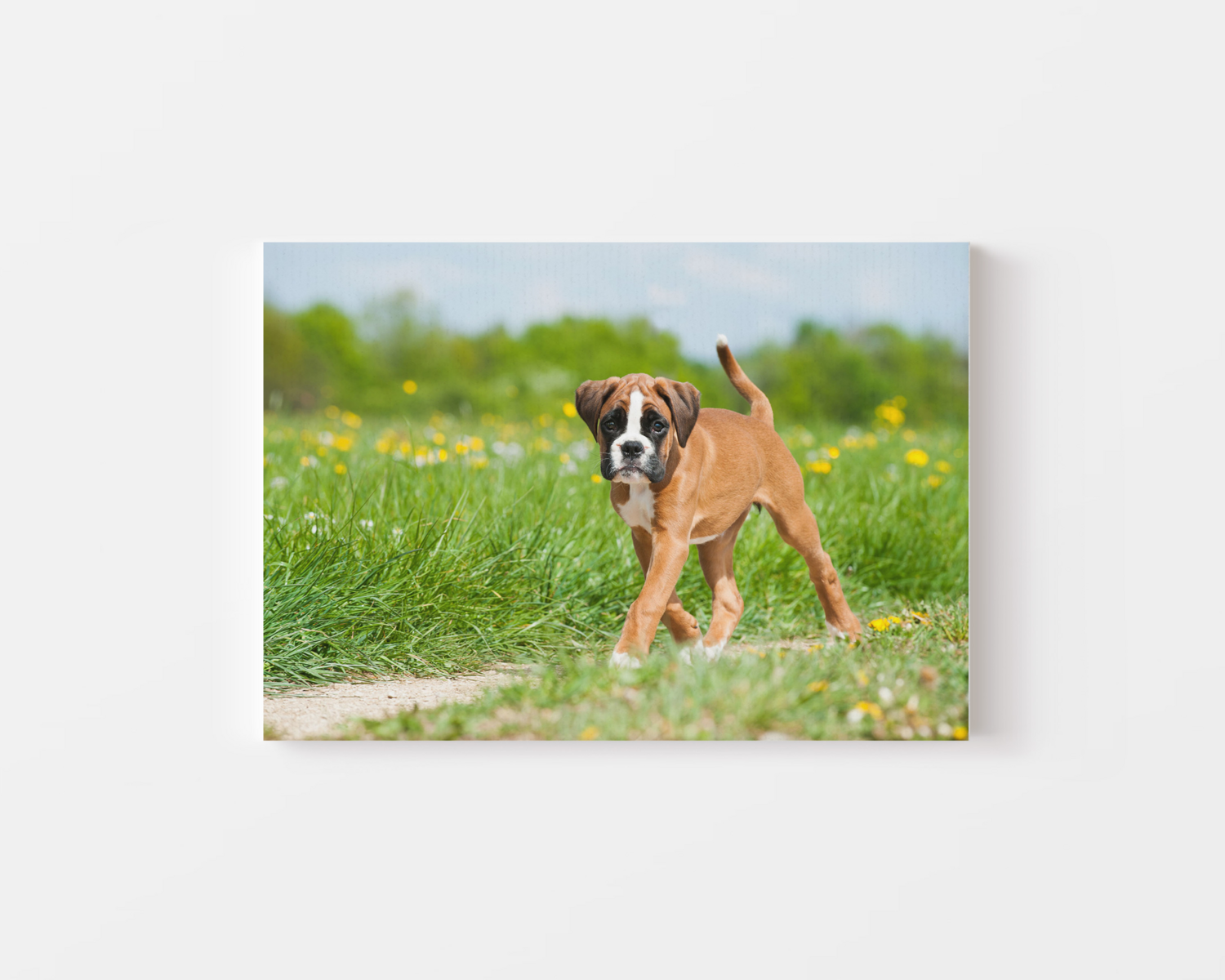 Photo Canvas  16” x 12” - Landscape